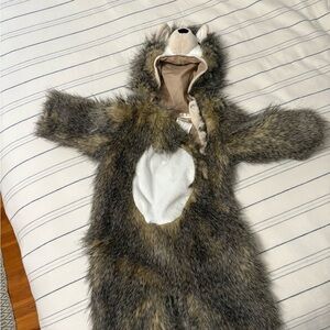 Adorable hedgehog  Costume for Kids